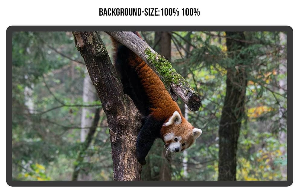 Featured image of post Css Background Image Stretch : Scaling an image with css is not quite possible, but a similar effect can be achieved in the following manner, though.